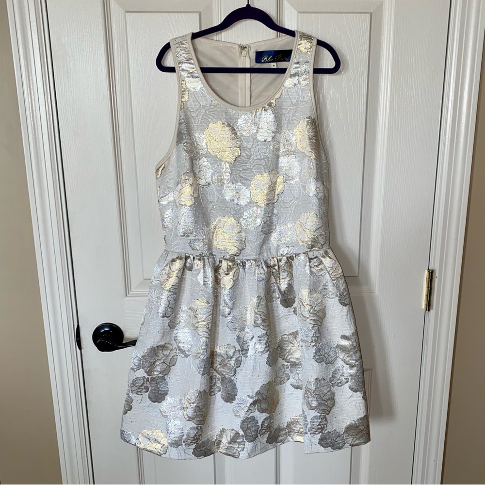 Blue Rain Cream Gold & Silver Floral Dress✨